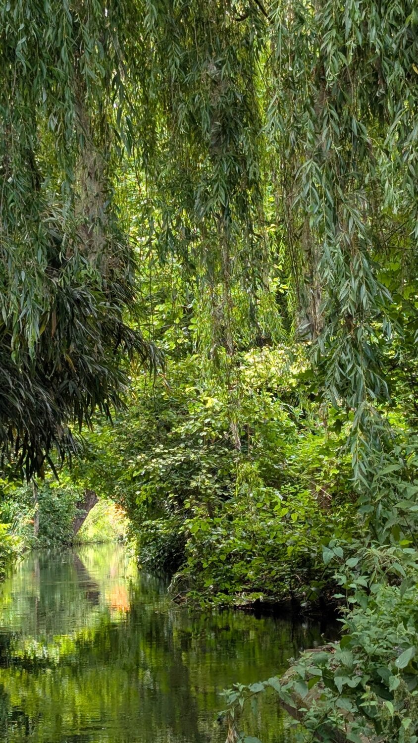 PXL 20250627