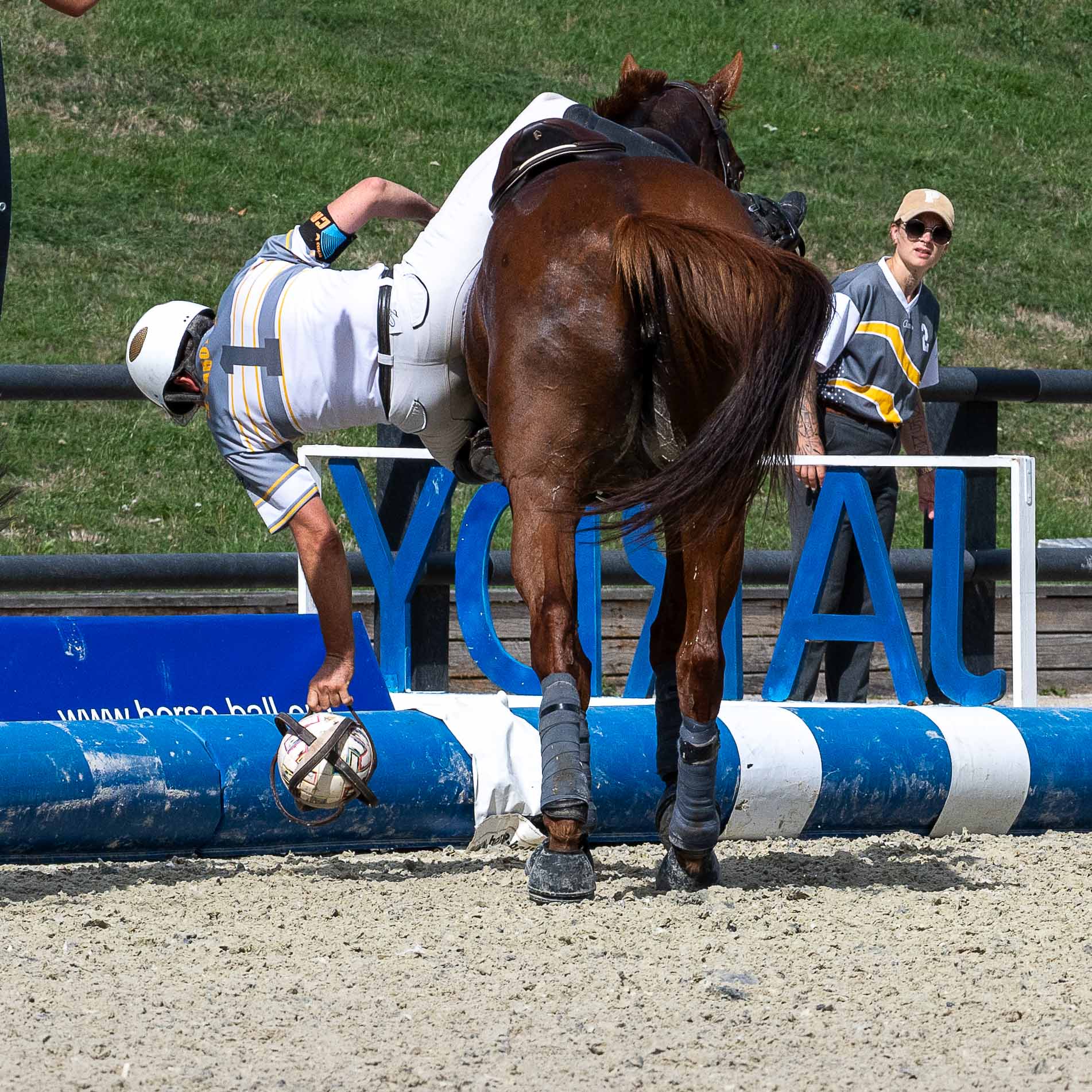 2026 09 04 HORSE BALL OK17