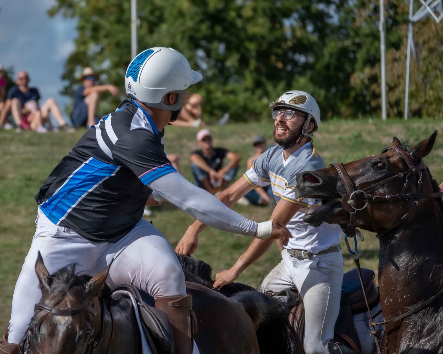 2026 09 04 HORSE BALL OK22